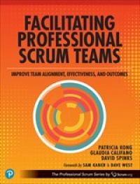 Facilitating Professional Scrum Teams