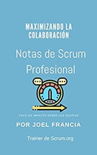 Notas de Scrum Professional book cover