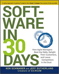 Software in 30 days book cover