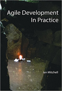 Agile development in practice book cover