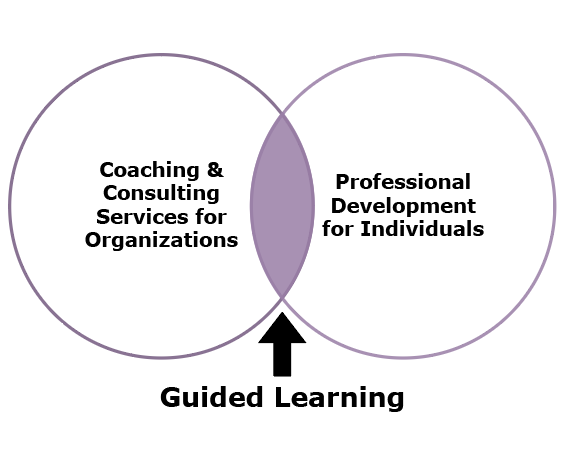 Guided Learning is the intersection of coaching and consulting services and professional development for individuals